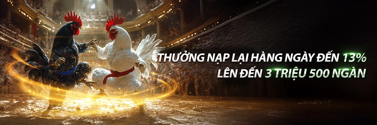 Đá Gà Ngày 29/6